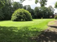 Click for all images